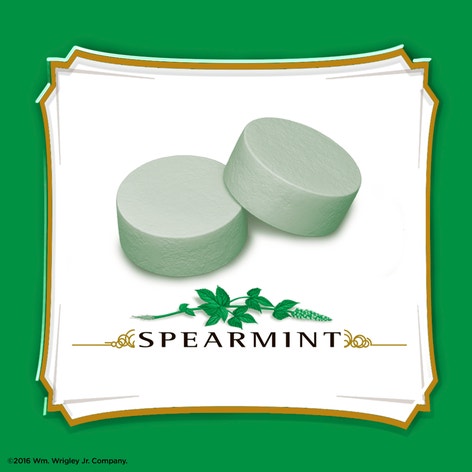 ALTOIDS Spearmint Mints Single Pack, 1.76 oz.