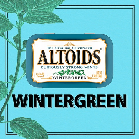 ALTOIDS Wintergreen Mints Single Pack, 1.76 oz