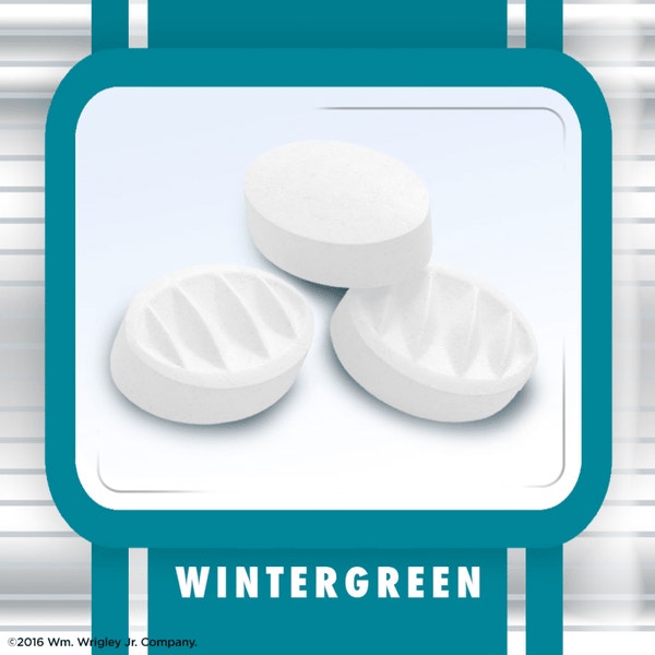 ALTOIDS Arctic Wintergreen Sugarfree Mints, 1.2 oz (Pack of 8)